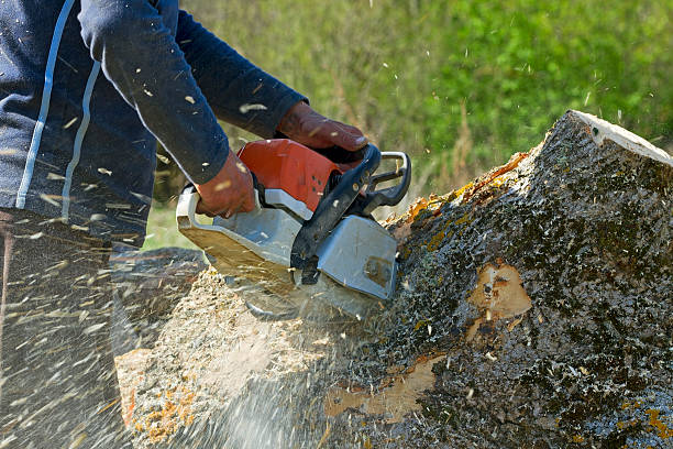 Soil Testing and Treatment in Mayo, MD